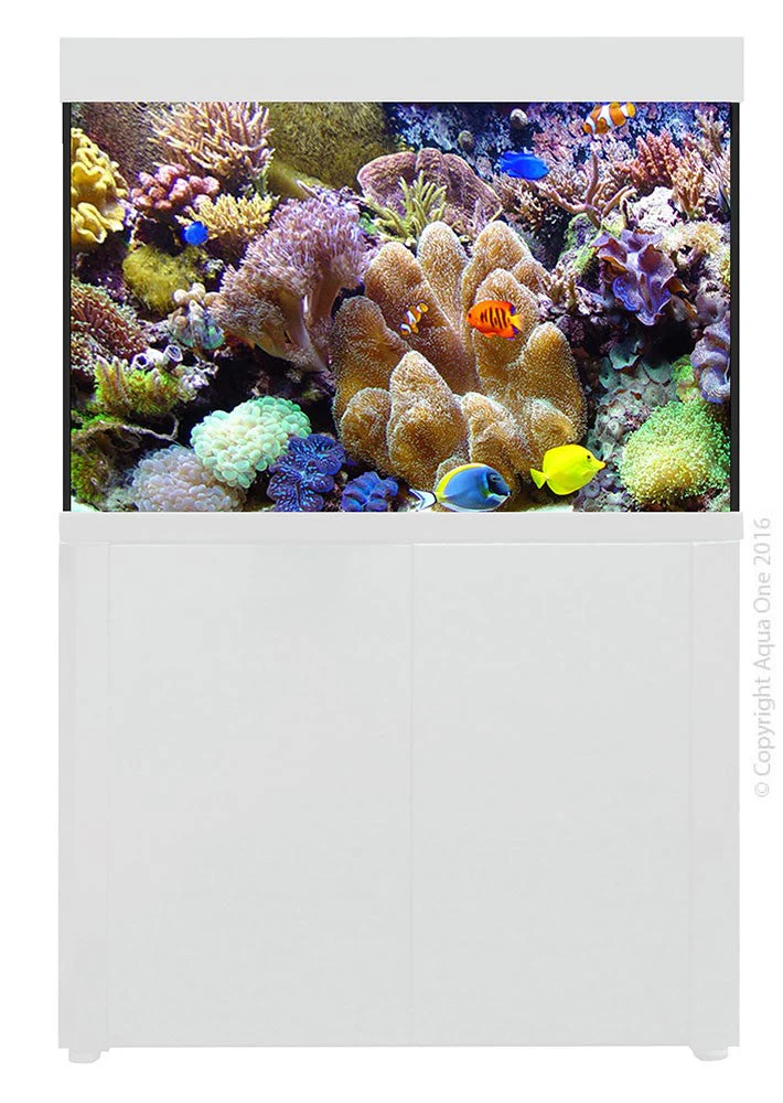 Aqua One Aqua Reef 300 S2 White (53438wh)