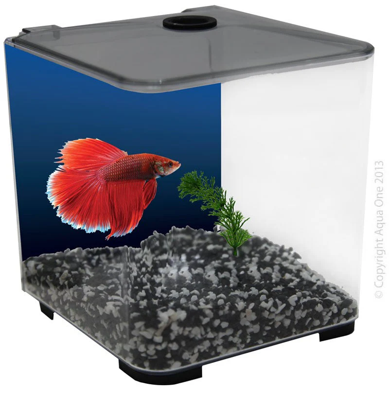Aqua One Betta Style 3l Charcoal (56101gy)