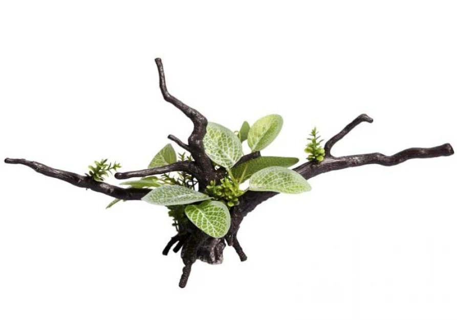 Aqua One Ecoscape Calathea Driftwood (28447)