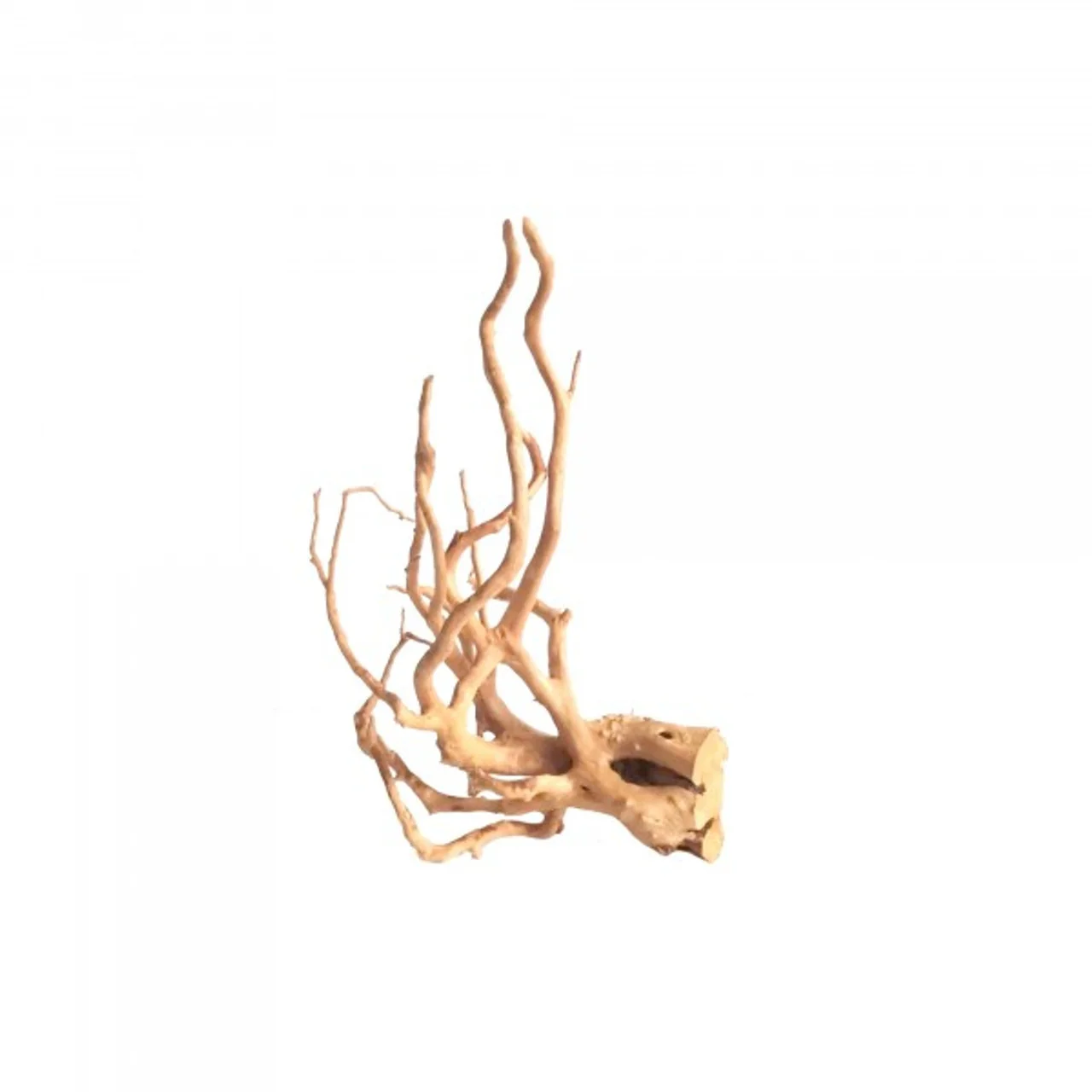 Bioscape Spider Wood Medium 30 - 40cm