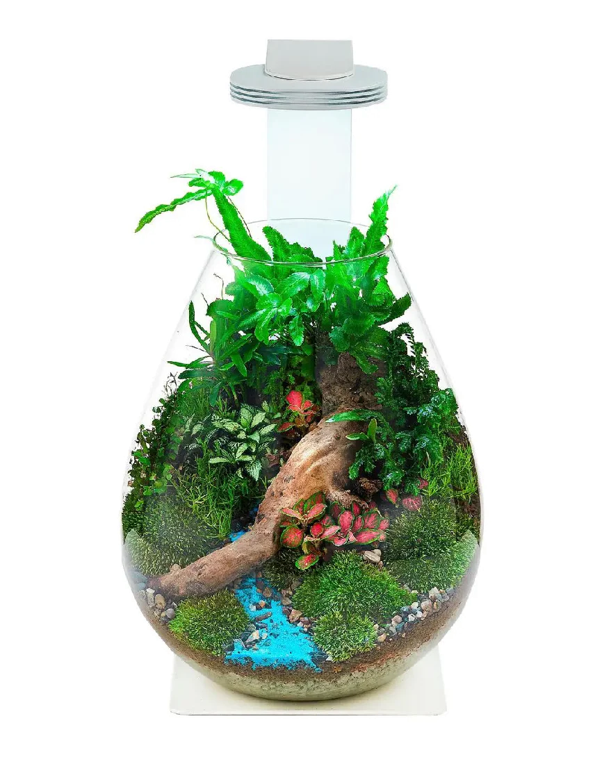 Chihiros Tiny Terrarium Egg - Image 11