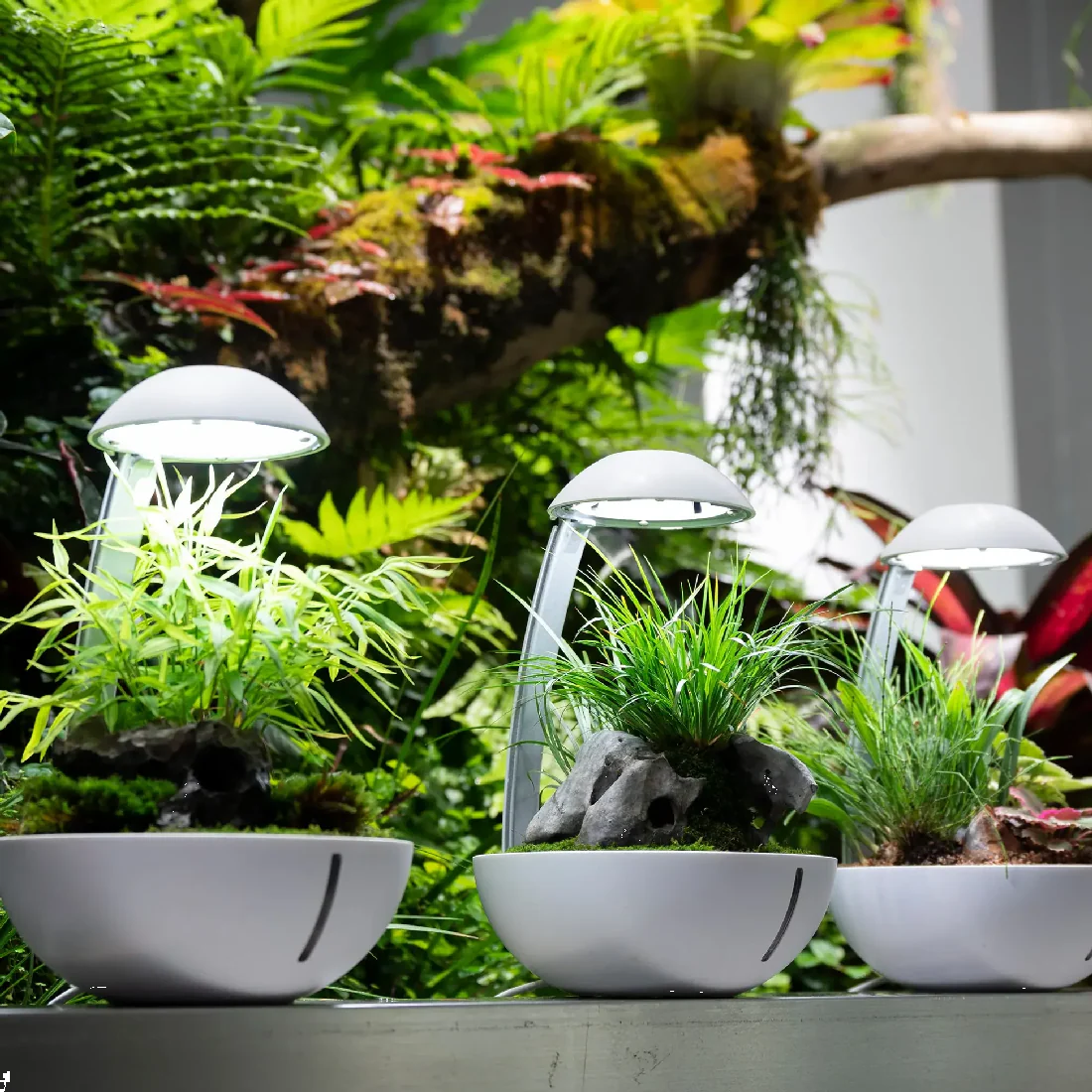 Chihiros Tiny Terrarium Egg - Image 14