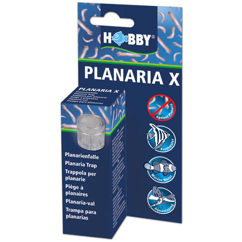 Dupla Planaria X Trap