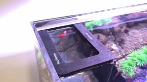 Dymax Feeding Tray - Large - Image 2