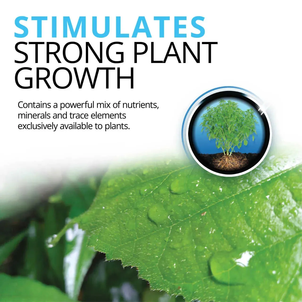 Fluval Betta Stratum 800gm - Image 5
