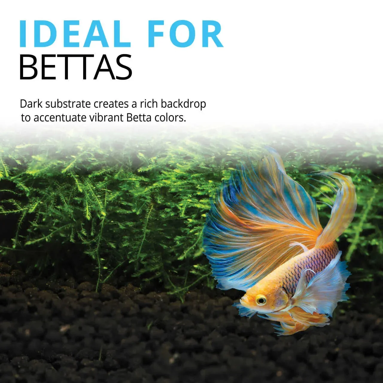 Fluval Betta Stratum 800gm - Image 6