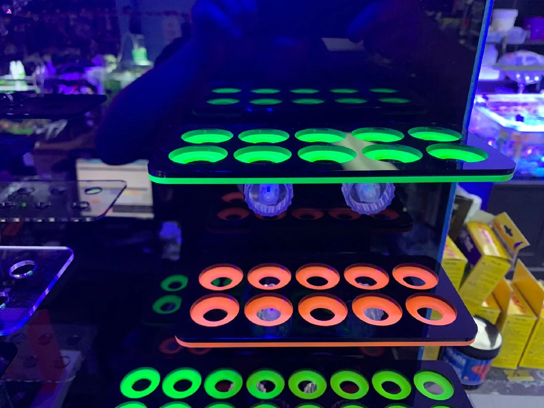 Frag Rack 10 Hole Black/neon Orange