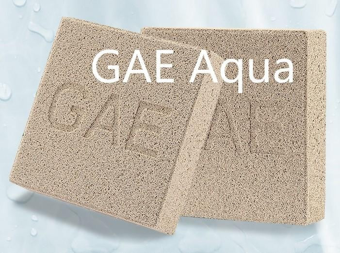 Gae Nano Tech Bio Bricks