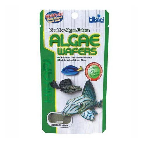 Hikari Mini Algae Wafers 22g