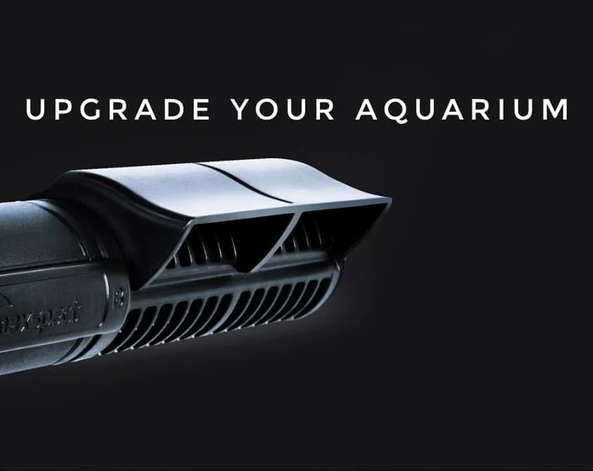 Maxspect Gyre Xf350 Twin Pump Package - Image 2