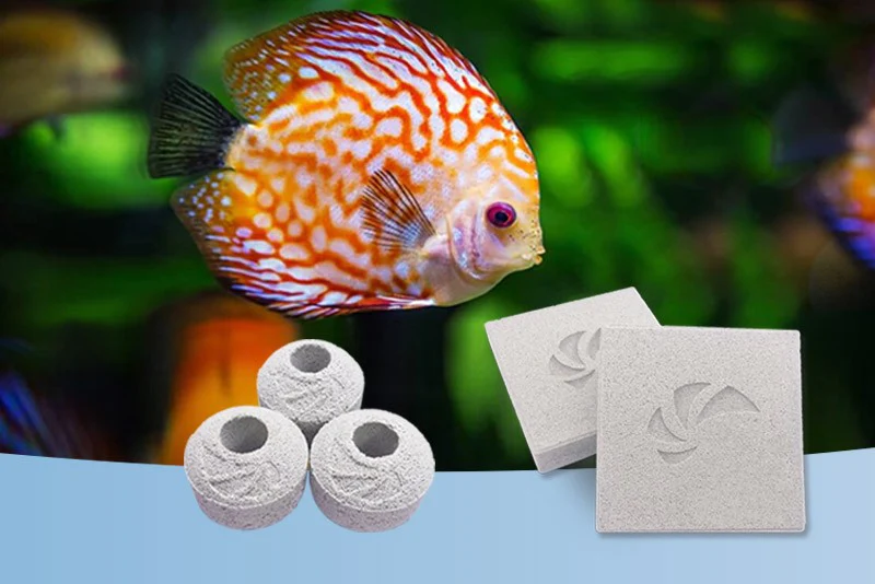 Maxspect Nano-tech Bio-block - Image 4