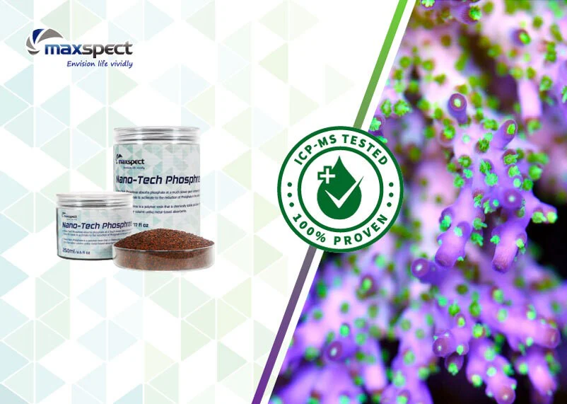 Maxspect Nano-tech Phosphree 250ml - Image 4