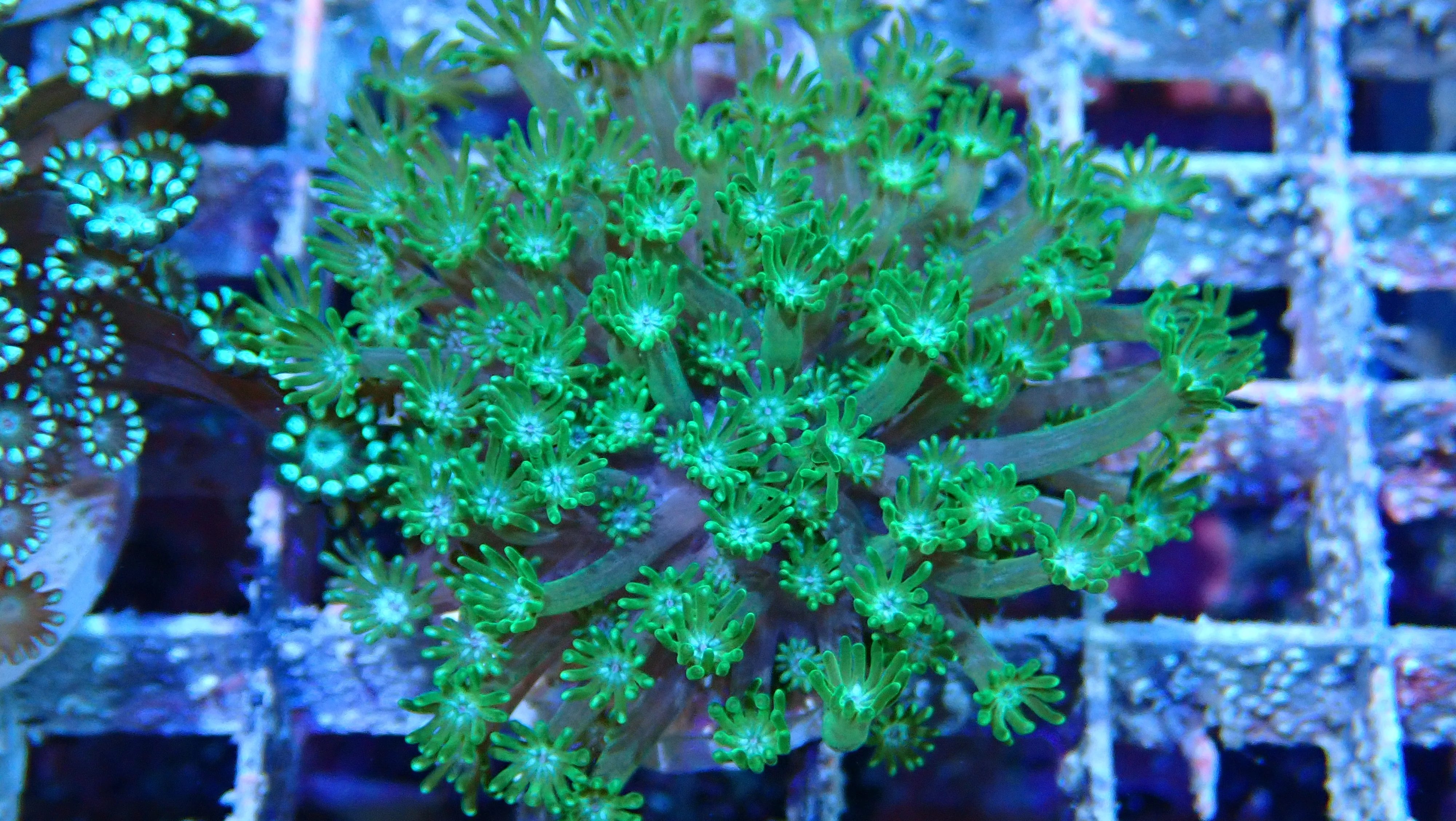 Mystery Frag $30ea or 3 for $75! - Image 29