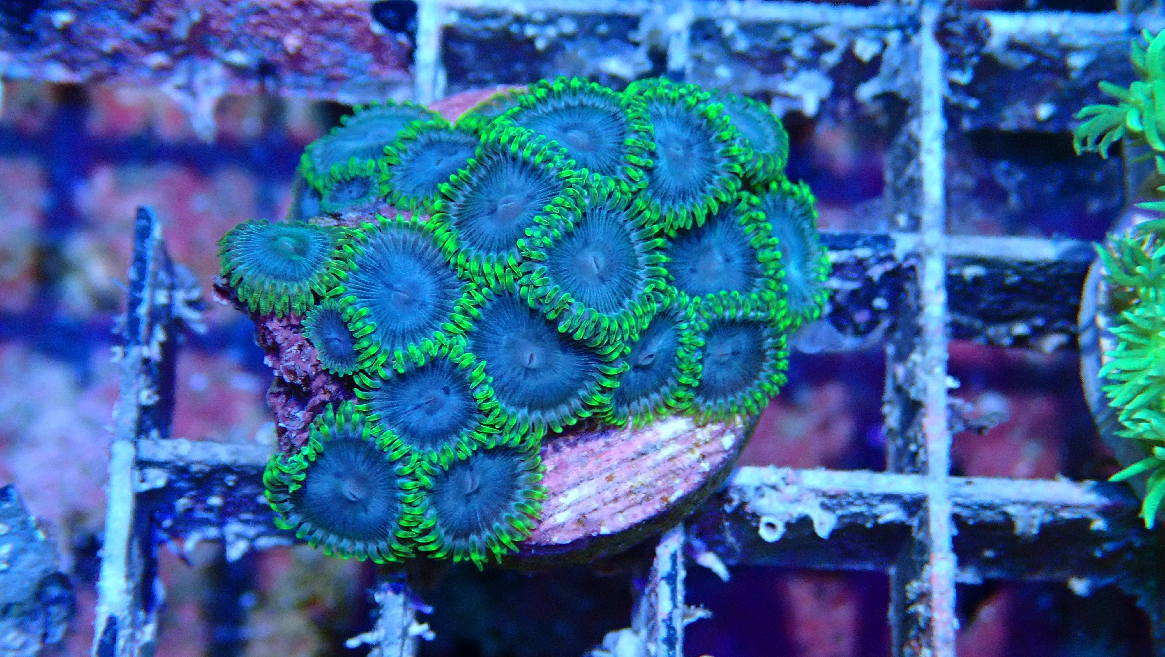 Mystery Frag $30ea or 3 for $75! - Image 47