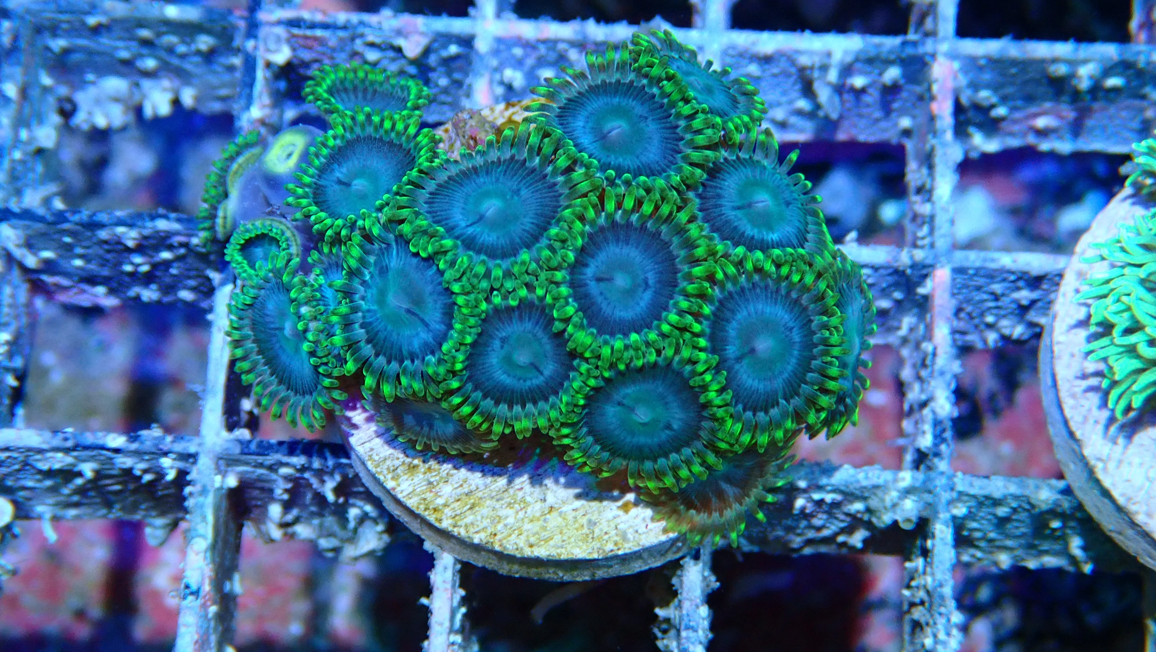 Mystery Frag $30ea or 3 for $75! - Image 48