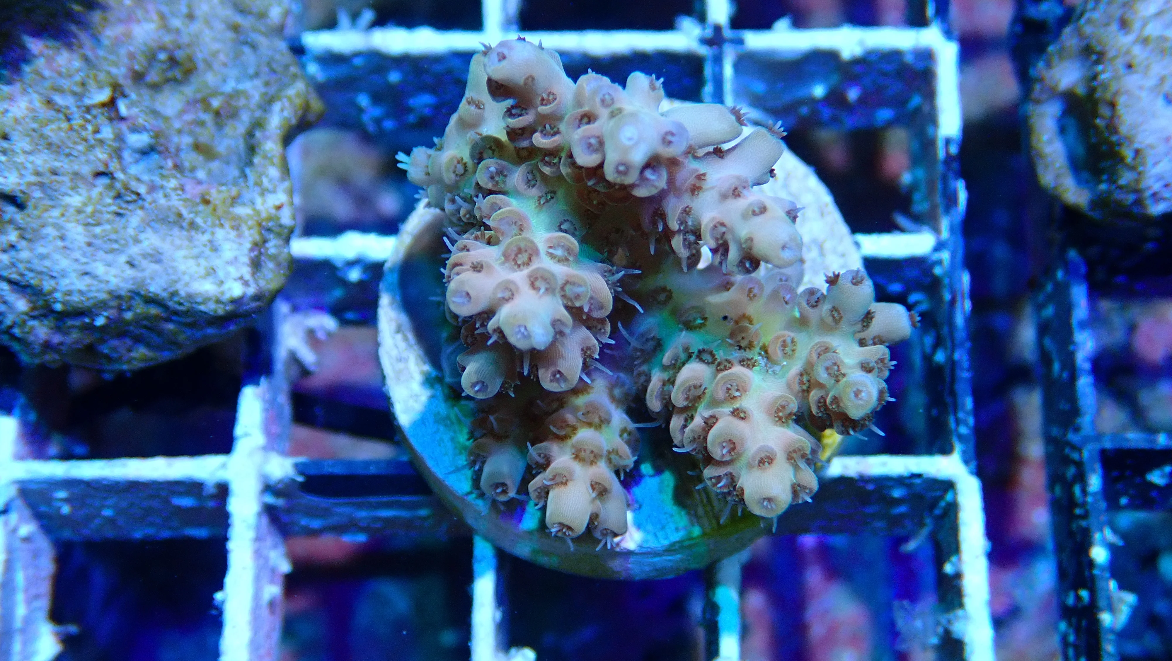 Mystery Frag $20ea or 3 for $50! - Image 26