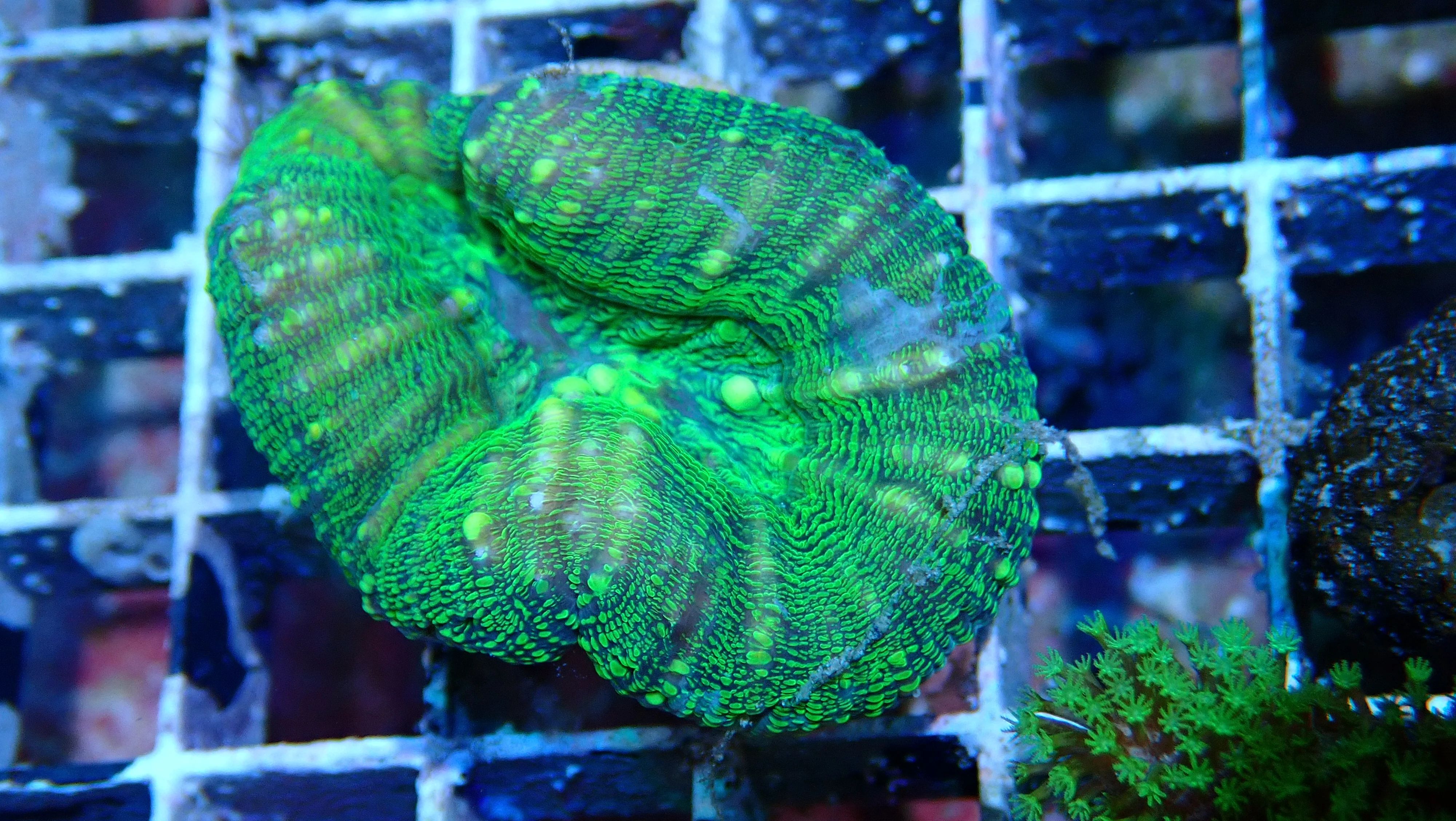 Mystery Frag $20ea or 3 for $50! - Image 27