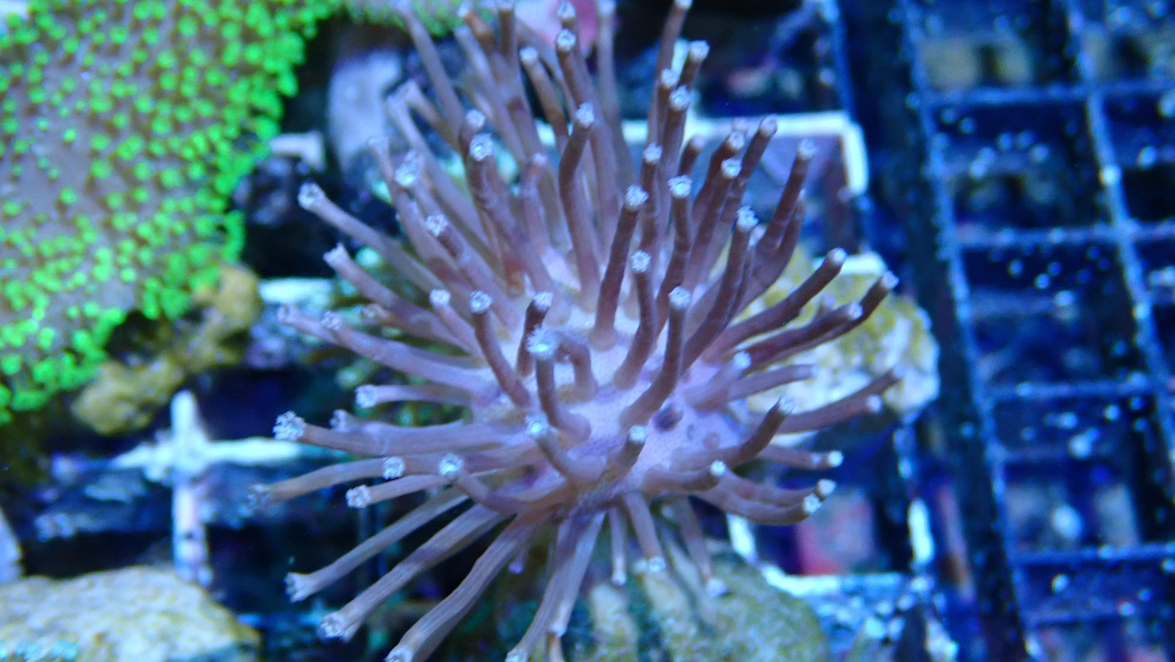 Mystery Frag $20ea or 3 for $50! - Image 31