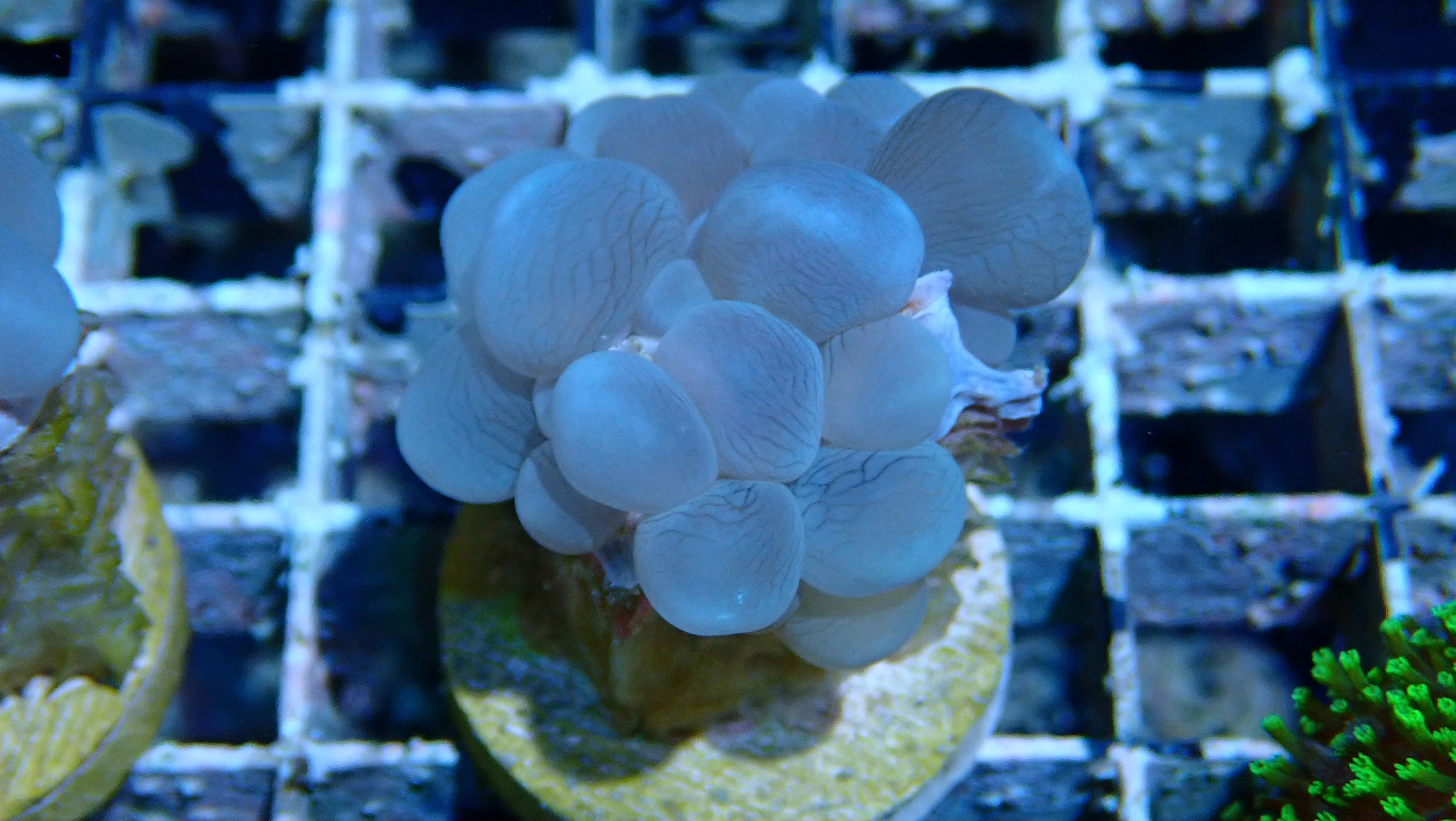 Mystery Frag $20ea or 3 for $50! - Image 32