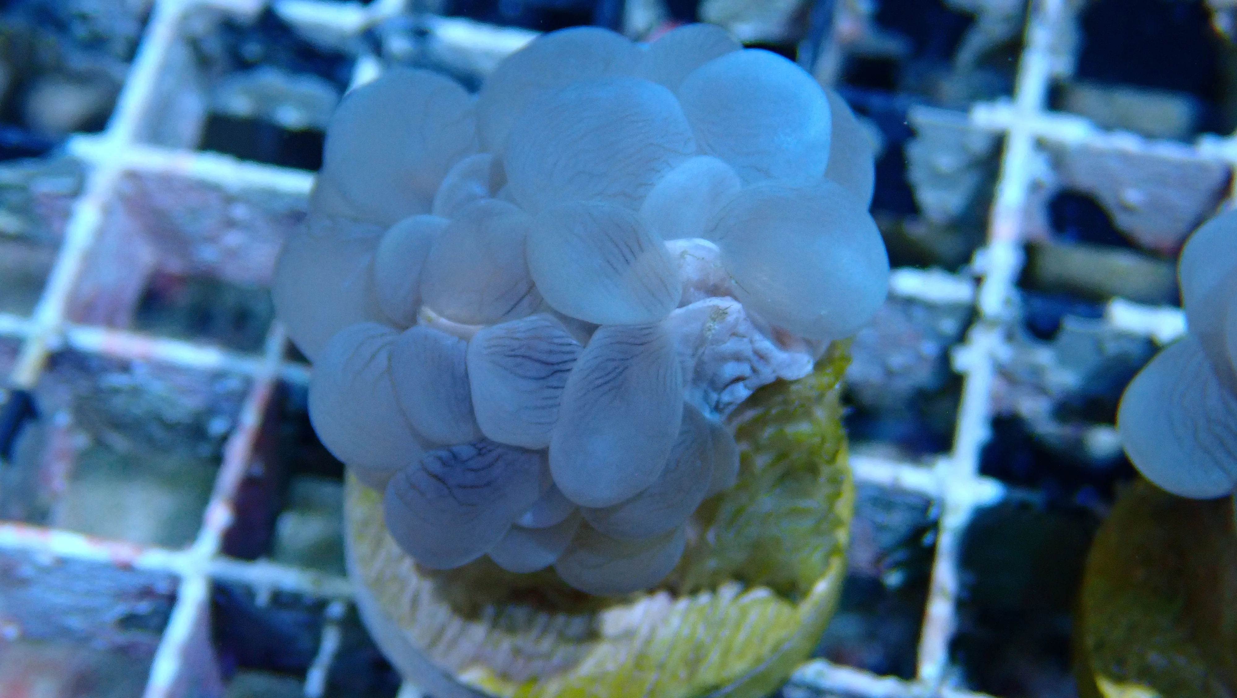 Mystery Frag $20ea or 3 for $50! - Image 33