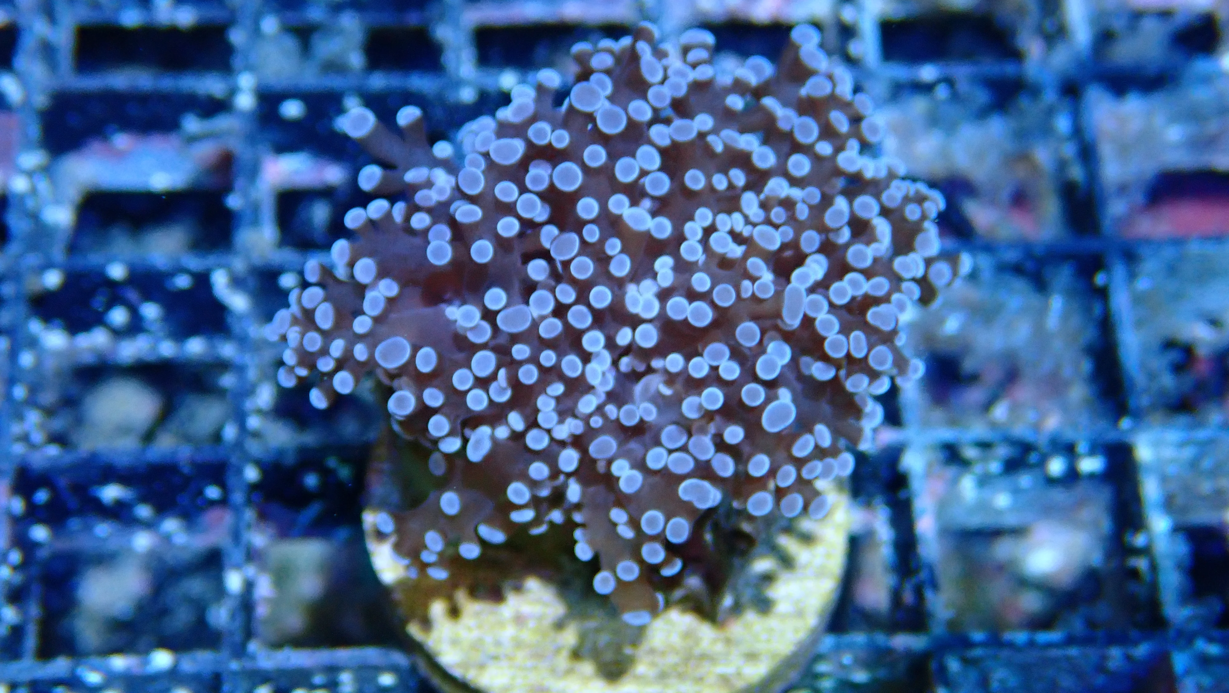 Mystery Frag $20ea or 3 for $50! - Image 34