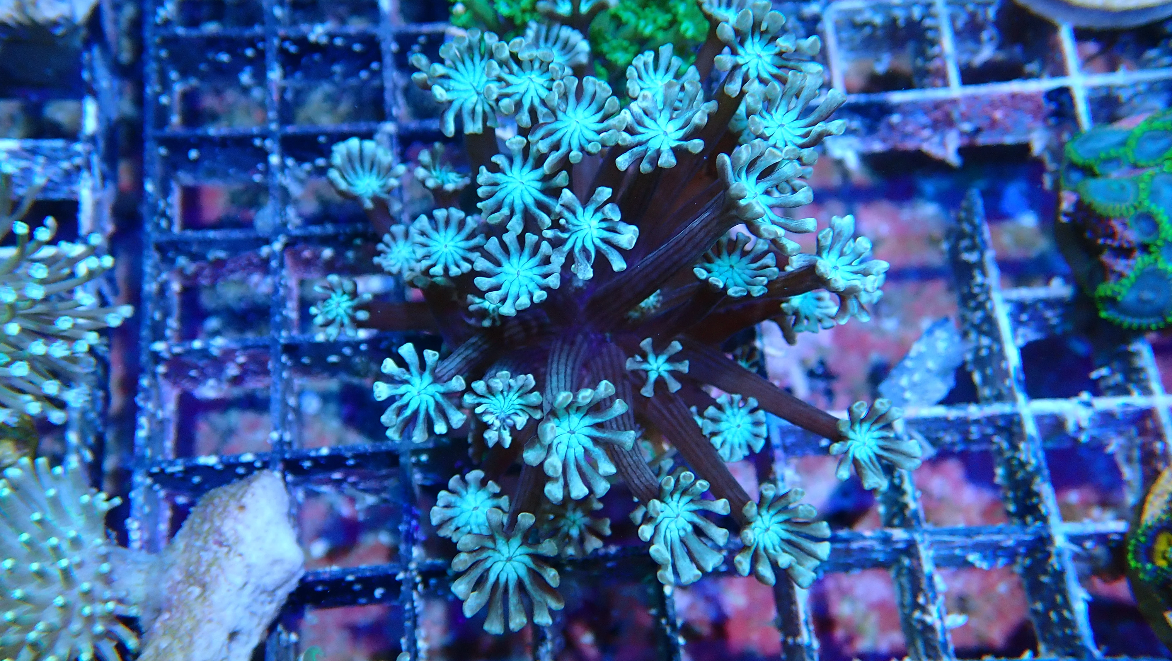 Mystery Frag $20ea or 3 for $50! - Image 36