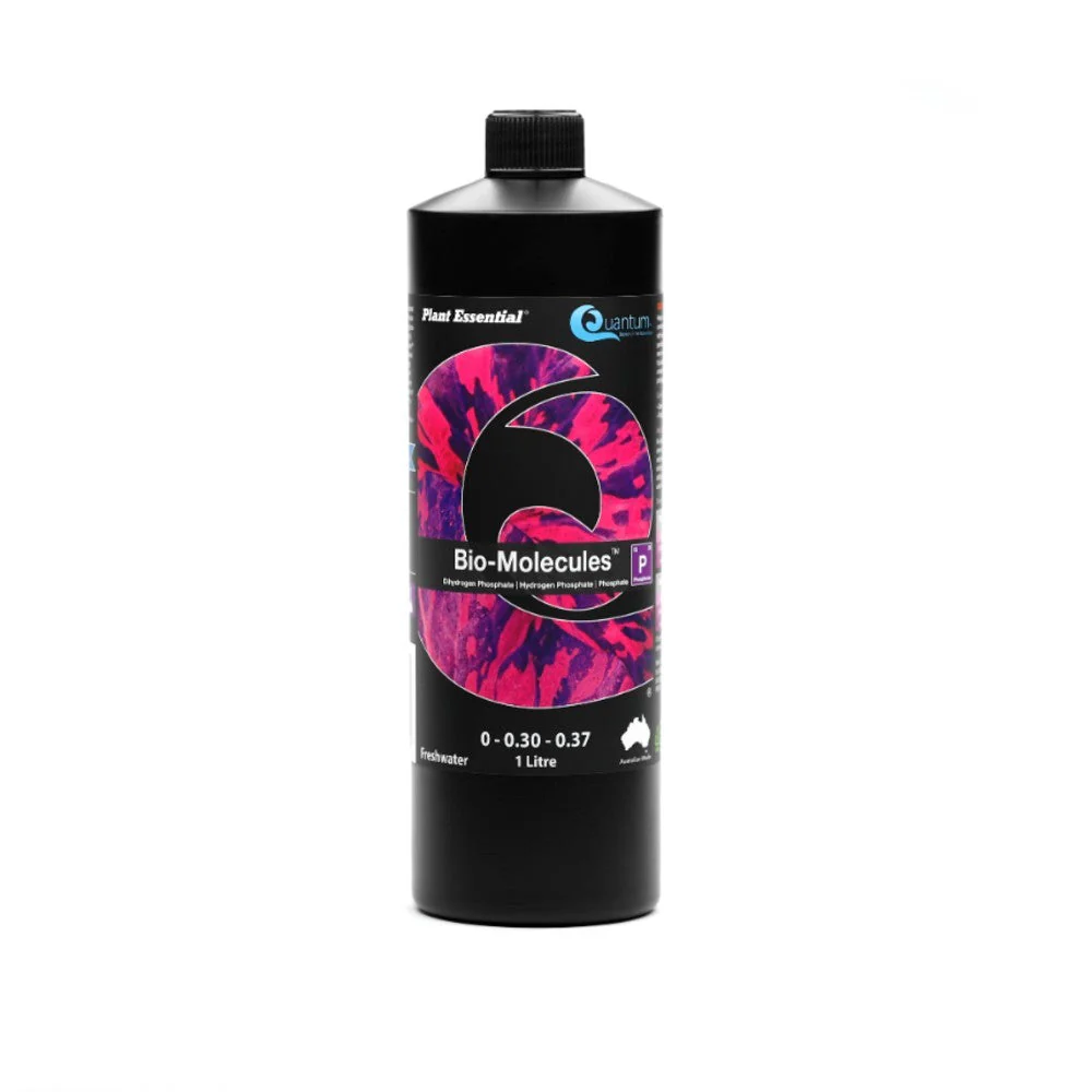 Quantum Bio Molecules 1l
