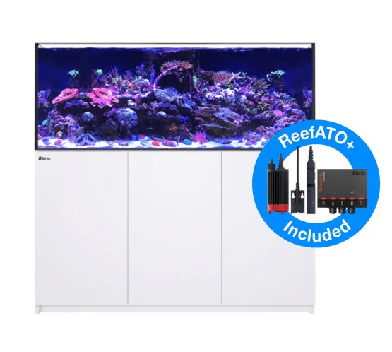 Red Sea Reefer G2+ 625 Complete System - White