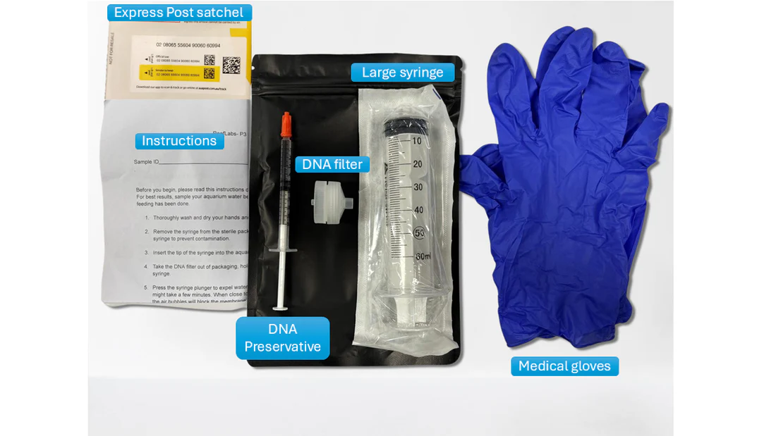Reeflabs Aquarium Microbiome Test Kit - Image 2