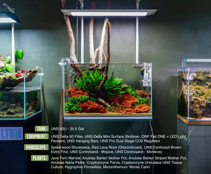 Ultum Nature Systems Delta Mini Surface Skimmer - Image 3