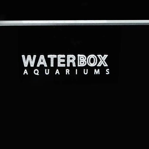 Waterbox Aquariums Clear Mini 10 - Image 2