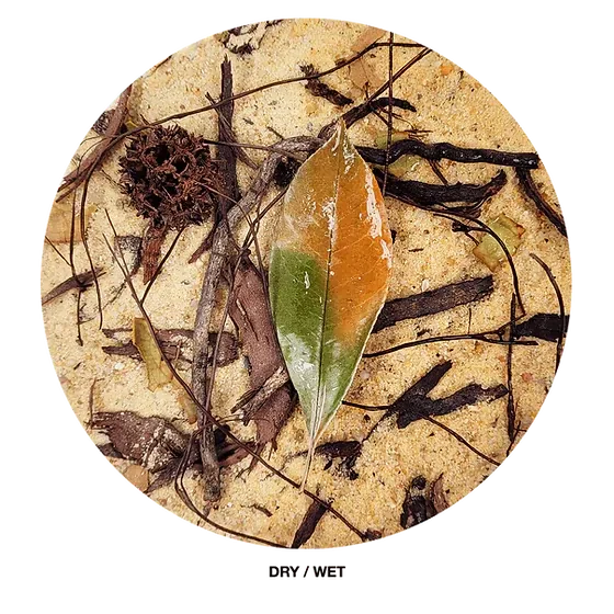 Wio Everglades River Kit - Image 5