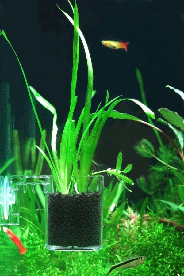 Ziss Aqua - Bbs Feeding Cup Sf-0 - 0.22mm - Image 3